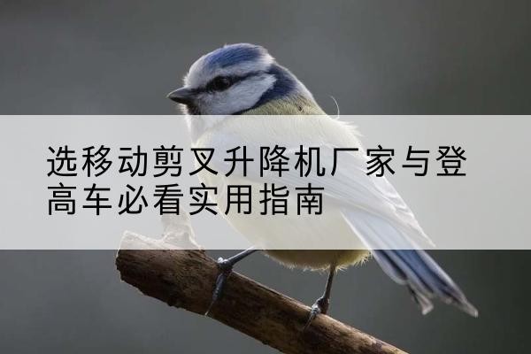 漠河电动升降机厂家-选移动剪叉升降机厂家与登高车必看实用指南
