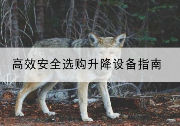 漠河升降货梯厂家推荐-*安全选购升降设备指南