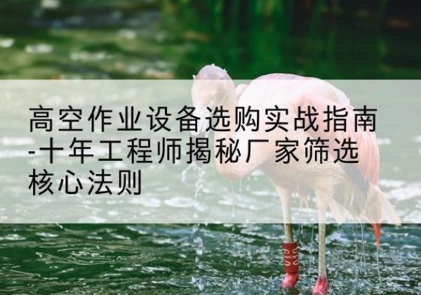 漠河剪叉式升降机厂家-高空作业设备选购实战指南-十年工程师揭秘厂家筛选核心法则